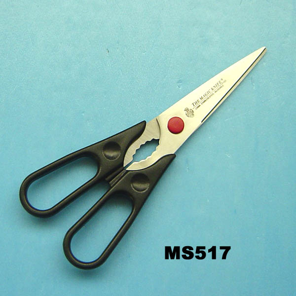 MS517.jpg