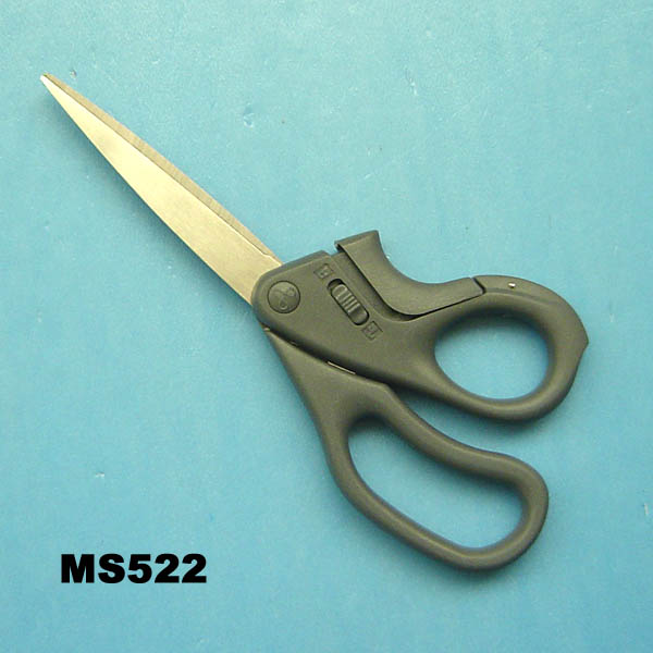 MS522.jpg