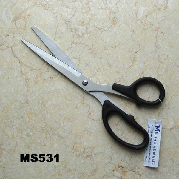 MS531.jpg