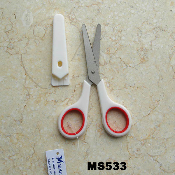 MS533.jpg