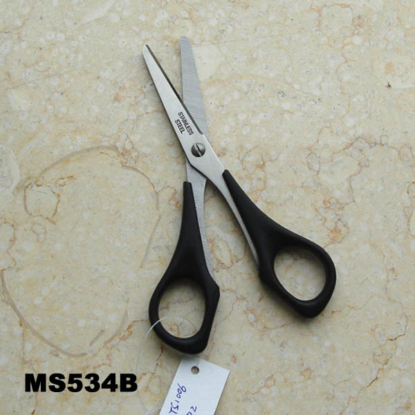 MS534B.jpg