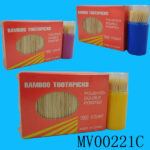 MV00221C.jpg