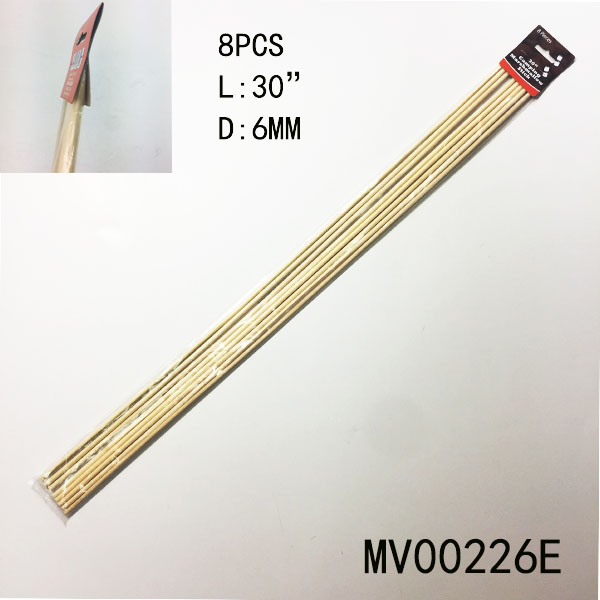 MV00226E.jpg