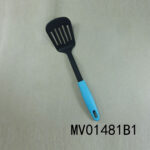 MV01481B1.jpg