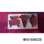 MV01606C29.jpg