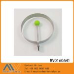 MV01606H1.jpg