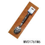 MV01761M6.jpg