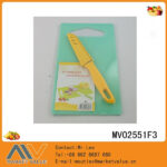 Plastic Cutting Board With S.S Knife