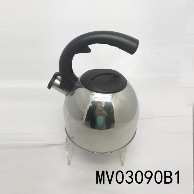 MV03090B1.jpg