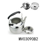 5L S.S Kettle In Color Box