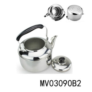5L S.S Kettle In Color Box