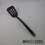 MV03132B5.jpg