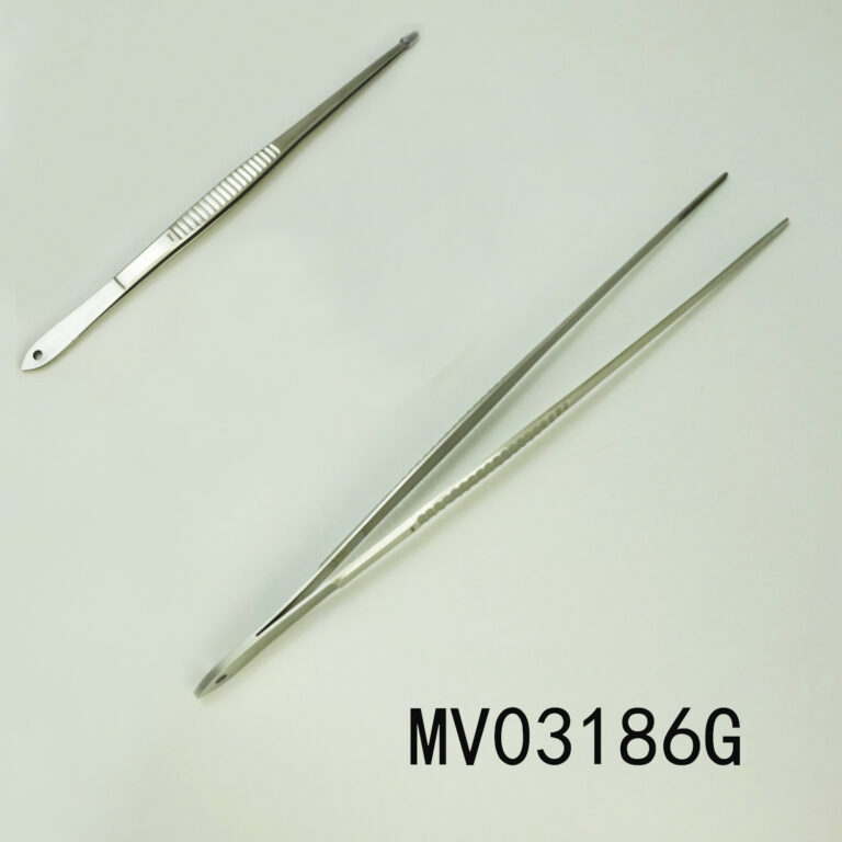 MV03186G.jpg