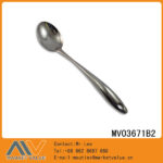 MV03671B2.jpg