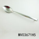 Stainless Steel Spoon