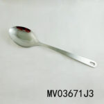 Stainless Steel Spoon