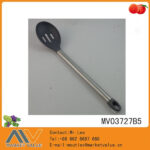 MV03727B5.jpg