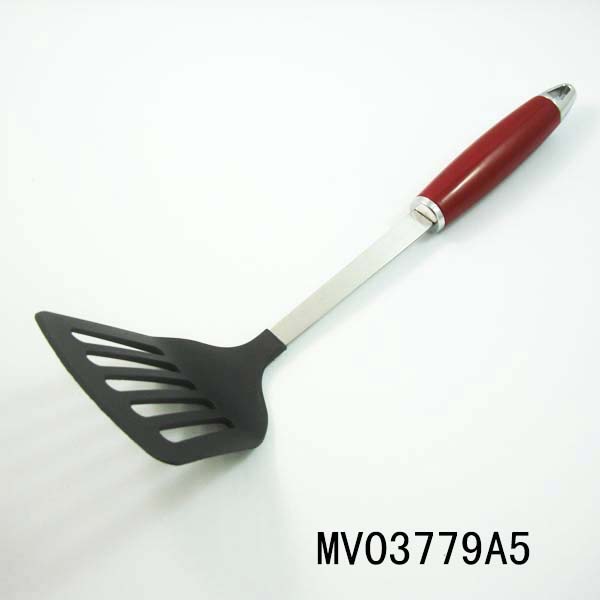 MV03779A5.jpg