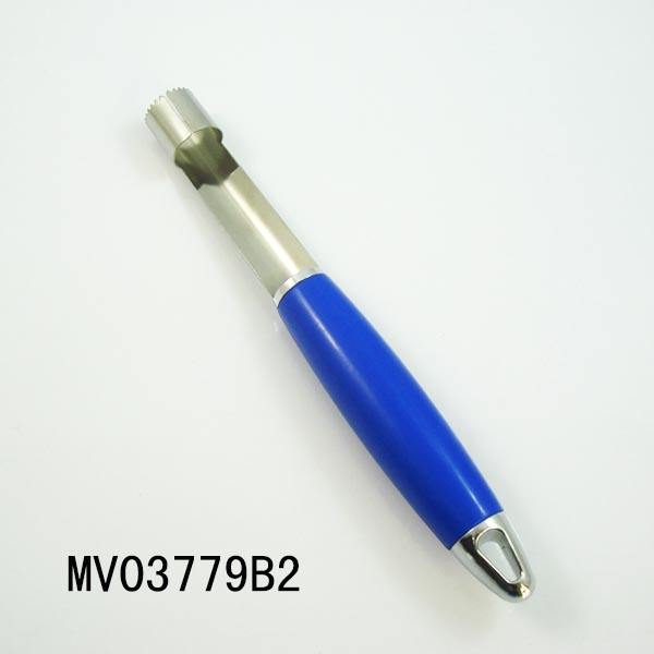 MV03779B2.jpg