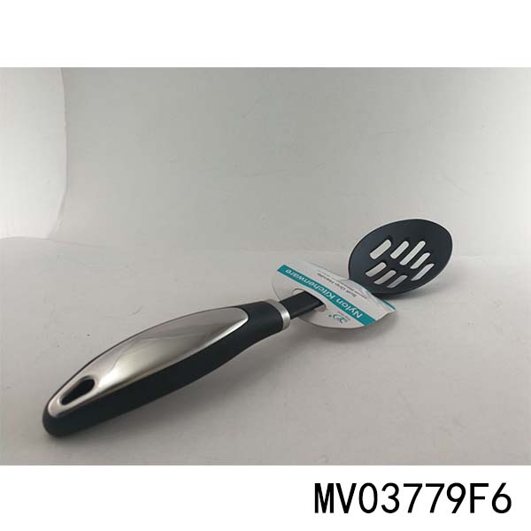 MV03779F6.jpg