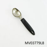 Ss Ice Cream Spoon Pp Handle