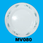 Plastic Dish