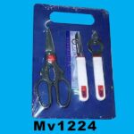 MV1224.jpg