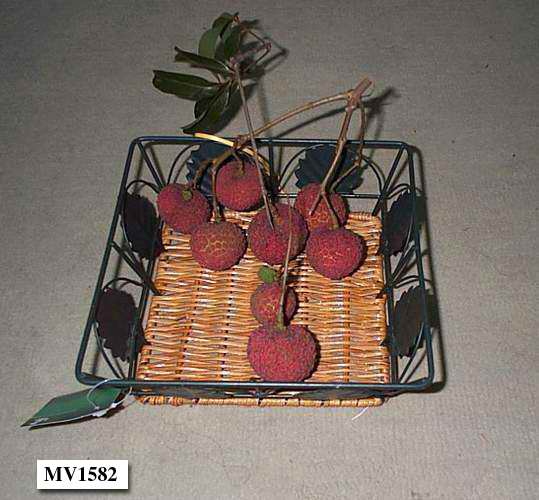 MV1582 Wire Fruit Basket W/Intertexture Bottom