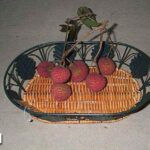 Wire Fruit Basket W/Intertexture Bottom