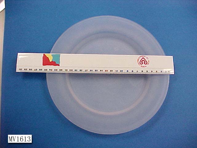 MV1613 24Cm Plastic Dish