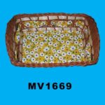 MV1669.jpg