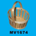 MV1674.jpg