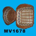 MV1678.jpg