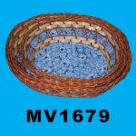 MV1679.jpg