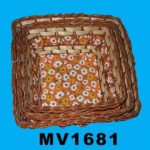 MV1681.jpg