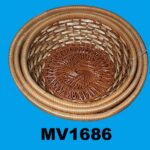 MV1686.jpg