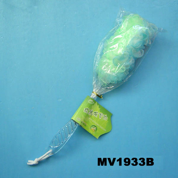 Shower Scourer