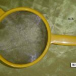 6.5“Strainer Plastic Handle + S/S Net