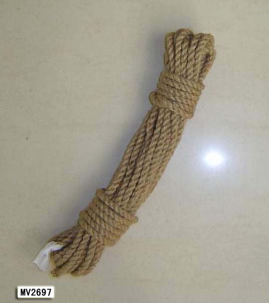 MV2697 MV2697.jpg