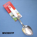 S/S Spoon Plastic Handle T/C
