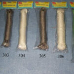 A199 20M 4Mm Pe Rope