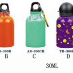 300Ml Sport Bottle