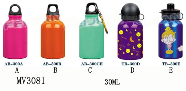 300Ml Sport Bottle