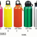 500Ml Sport Bottle