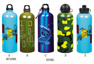 850Ml Sport Bottle
