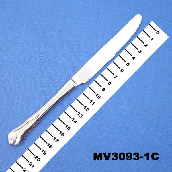 21Cm S.S. Steak Knife
