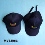 Sun Cap