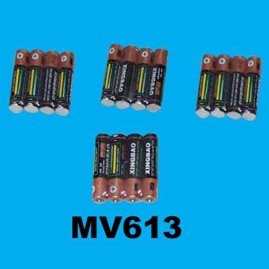 MV613.jpg