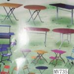 Beach Chair