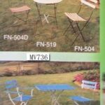 Beach Chair